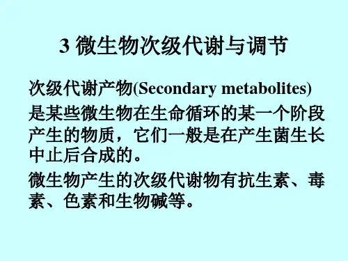 次级代谢01