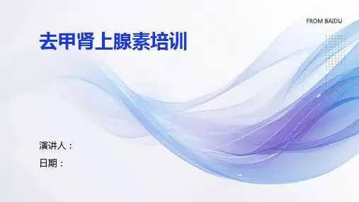 去甲肾上腺素培训