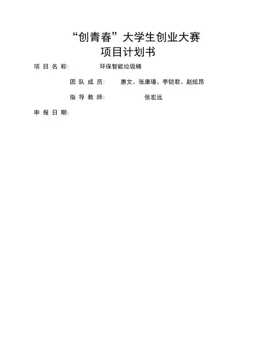 创青春项目计划书
