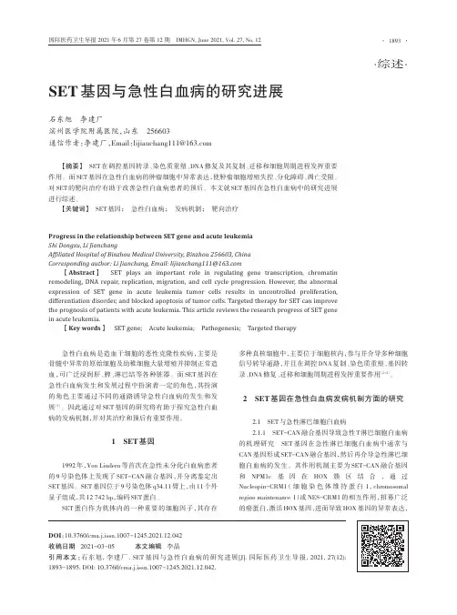 SET基因与急性白血病的研究进展
