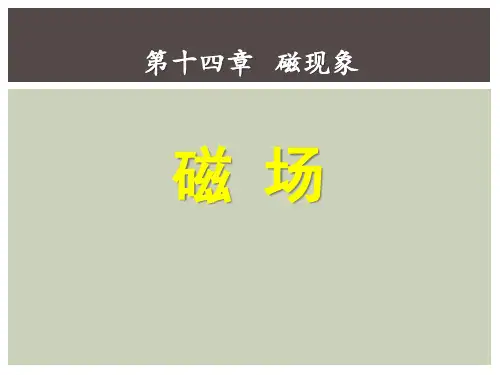 《磁场》磁现象6-北师大九年级物理下册PPT课件