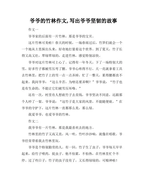 爷爷的竹林作文,写出爷爷坚韧的故事