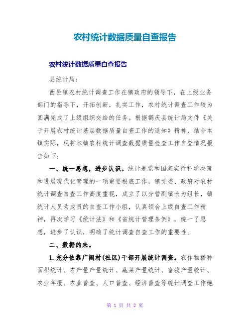 农村统计数据质量自查报告