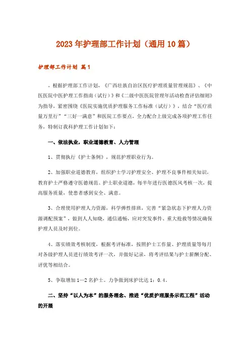 2023年护理部工作计划(通用10篇)