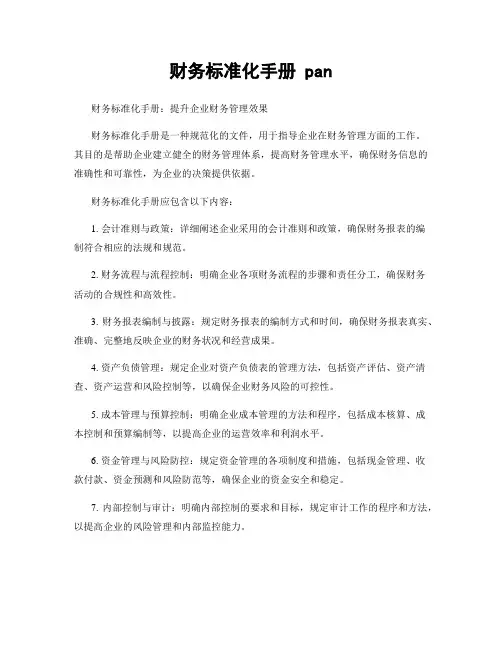 财务标准化手册 pan