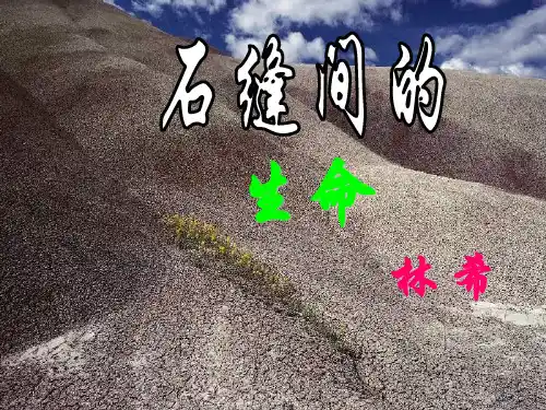 公开课教案教学设计课件语文版初中语文九下《石缝间的生命》PPT课件 (二)