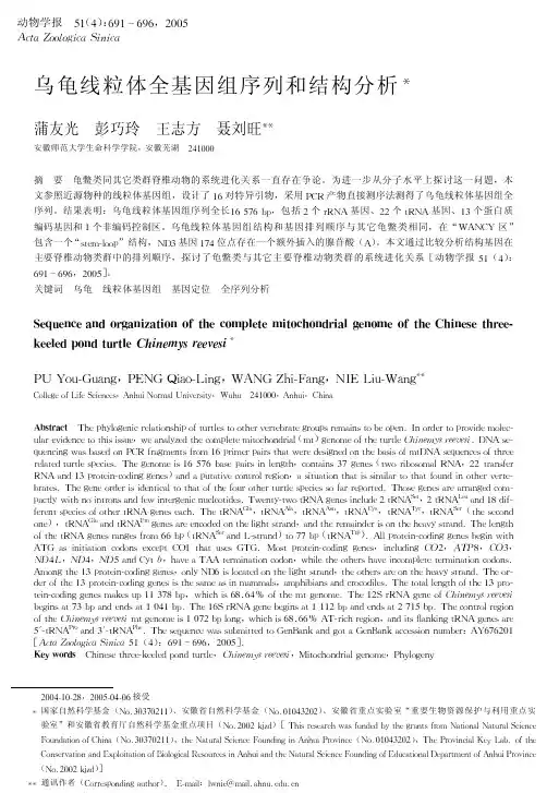乌龟线粒体全基因组序列和结构分析