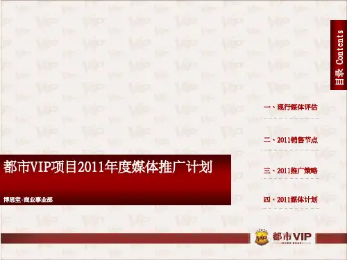 某项目年度媒体推广计划