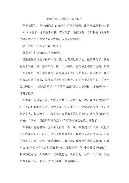 美丽的牵牛花作文7篇400字