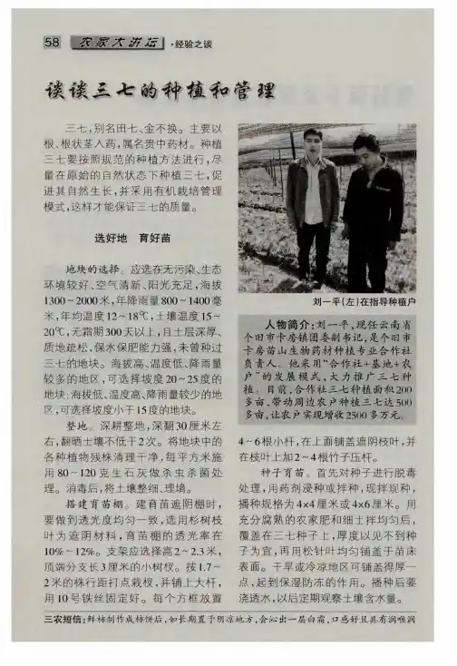 谈谈三七的种植和管理