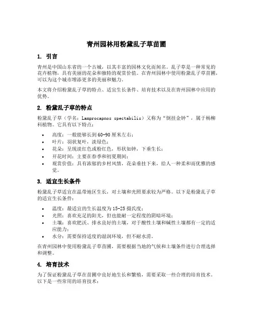 青州园林用粉黛乱子草苗圃
