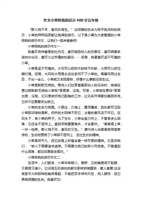 作文小草给我的启示400字五年级