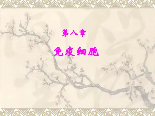 8.免疫细胞