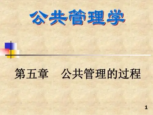 公共管理学5公共管理的过程