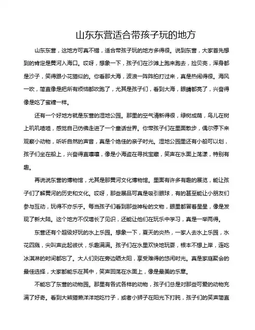 山东东营适合带孩子玩的地方