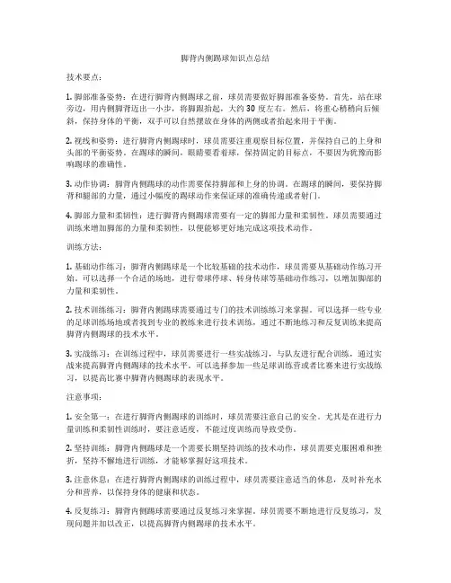 脚背内侧踢球知识点总结
