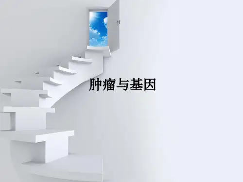 肿瘤与基因PPT课件