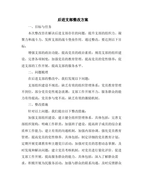 后进支部整改方案