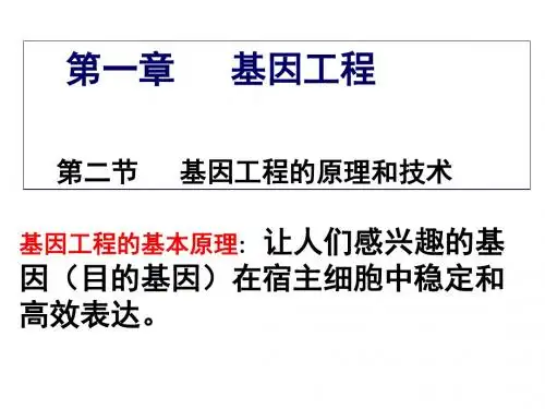 基因工程的原理和技术