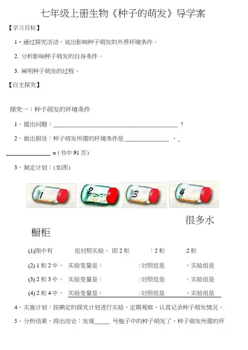 人教版七年级上册生物种子的萌发导学案