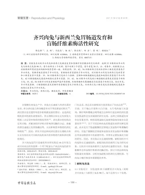 齐兴肉兔与新西兰兔胃肠道发育和盲肠纤维素酶活性研究