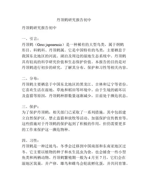 丹顶鹤研究报告初中