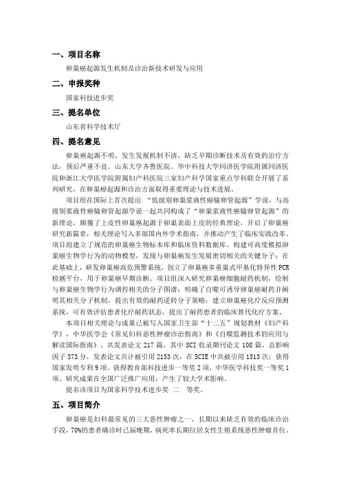 项目名称