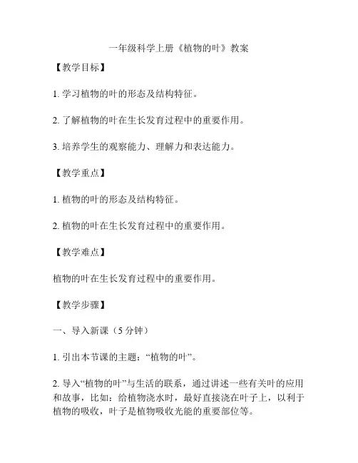 一年级科学上册《植物的叶》教案