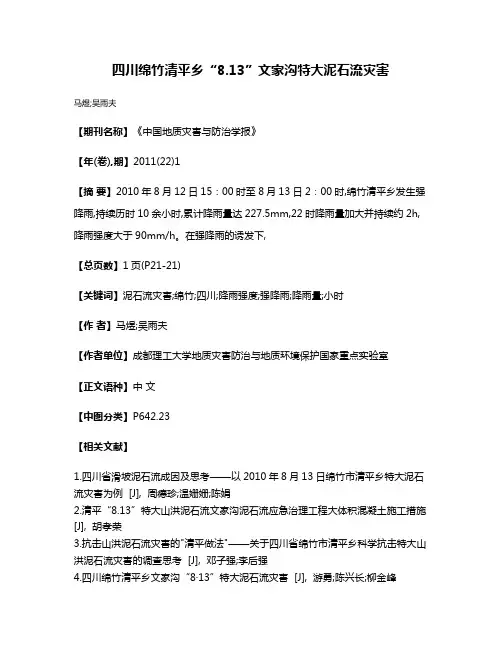 四川绵竹清平乡“8.13”文家沟特大泥石流灾害