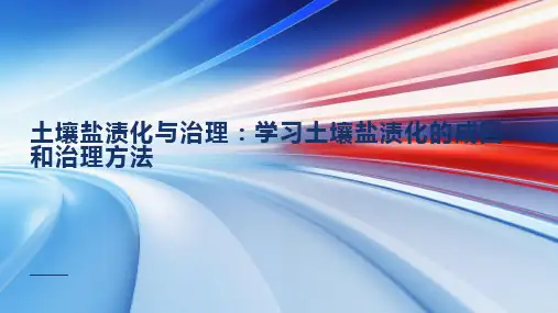土壤盐渍化与治理：学习土壤盐渍化的成因和治理方法