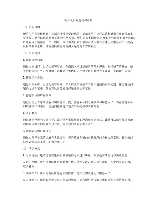 德育队伍专题培训计划