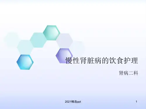 慢性肾脏病的饮食护理ppt课件