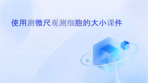 使用测微尺观测细胞的大小课件