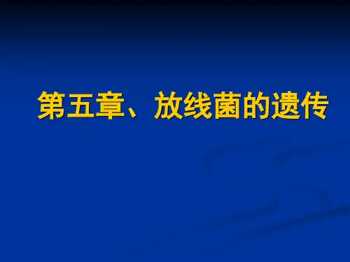 微生物遗传学第五章 放线菌的遗传