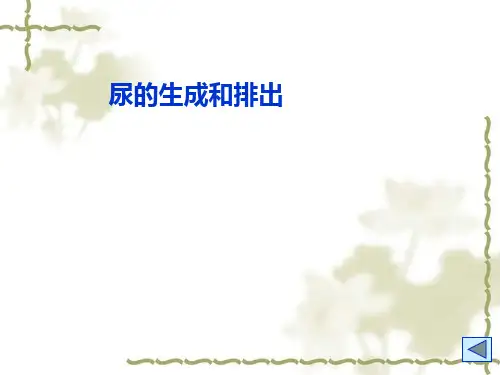 生理学课件：尿的生成和排出