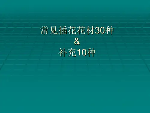 常见插花花材40种)