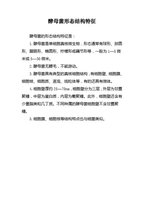 酵母菌形态结构特征