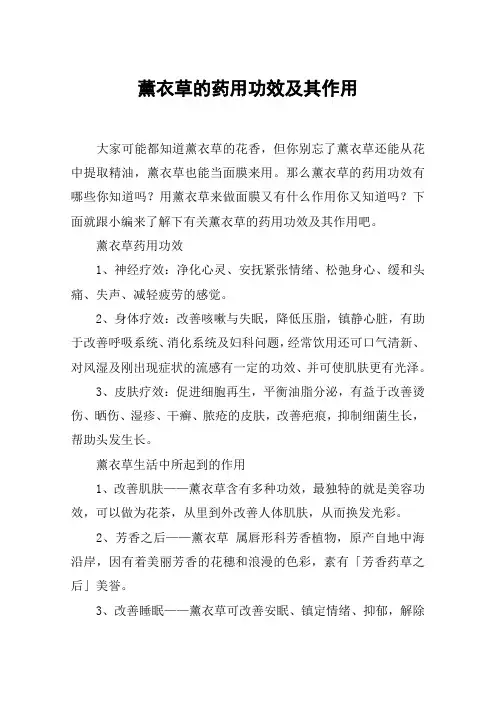 薰衣草的药用功效及其作用