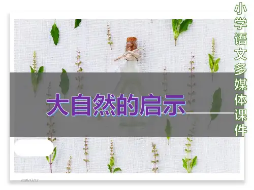 《大自然的启示》ppt课件最新完美版