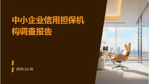 中小企业信用担保机构调查报告
