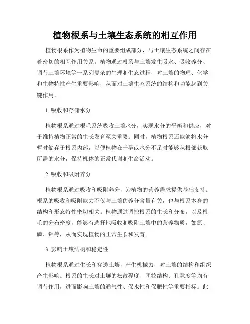 植物根系与土壤生态系统的相互作用
