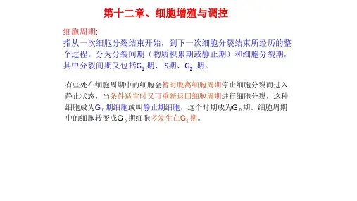 高中生物奥赛课件 细胞的生命历程