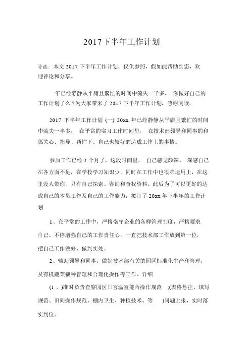 2017下半年工作计划