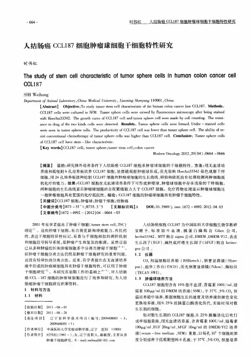人结肠癌CCL187细胞肿瘤球细胞干细胞特性研究