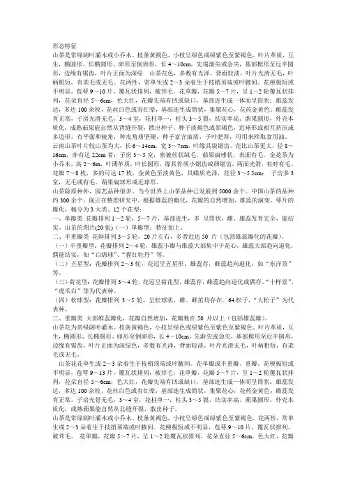 山茶花的特征