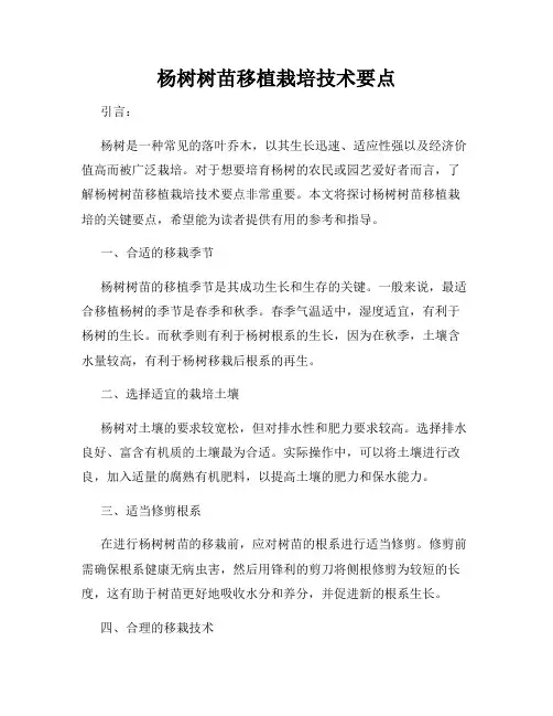 杨树树苗移植栽培技术要点