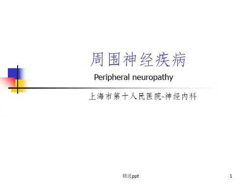 《周围神经疾病》PPT课件