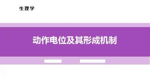 2-2-2动作电位及其形成机制