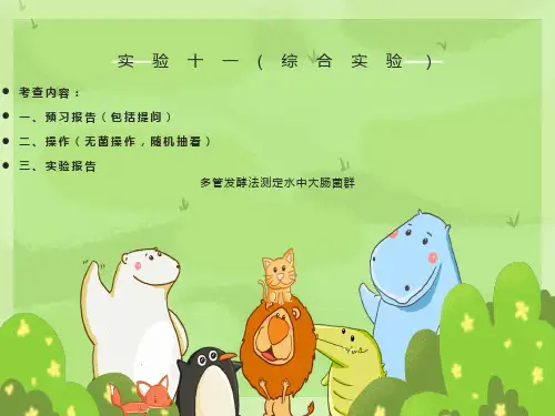 实验十一多管发酵法测定水中大肠菌群