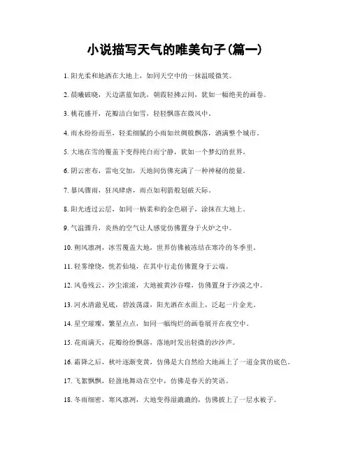 小说描写天气的唯美句子(精选两篇)
